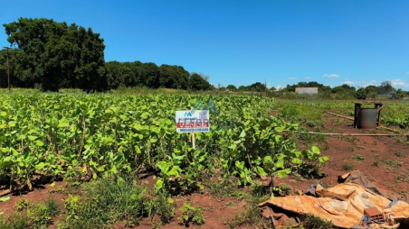 TERRENO Á VENDA NA PARTE NORTE DO PATRIMÔNIO...