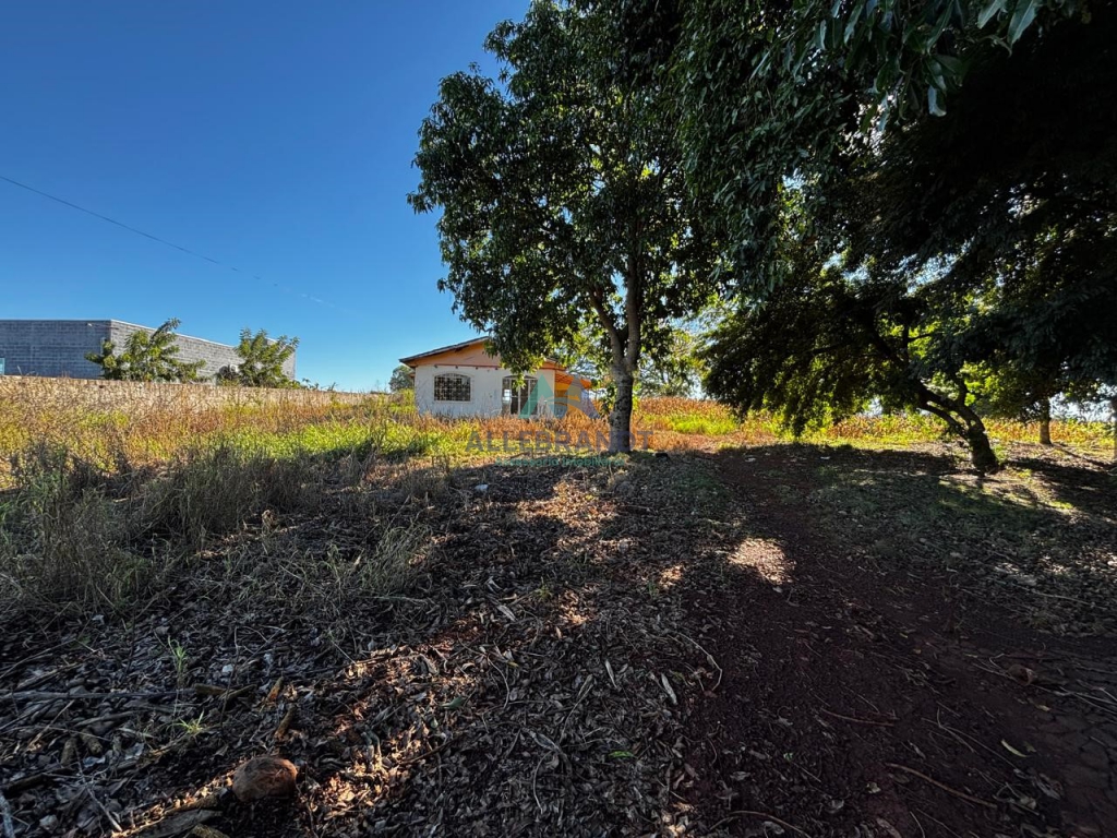 CHÁCARA À VENDA EM SANTA TEREZINHA DE ITAIPU