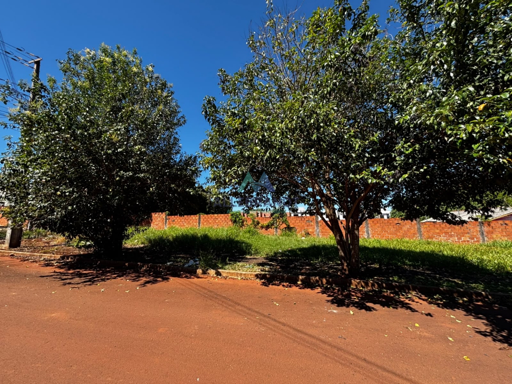 TERRENO À VENDA NO JARDIM FENÍCIA
